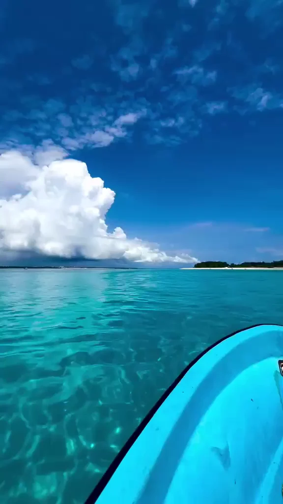 Mnemba snorkelling — illustrative experience imagery